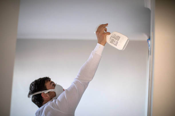 Best Insurance-Related Mold Remediation in Sagamore, MA