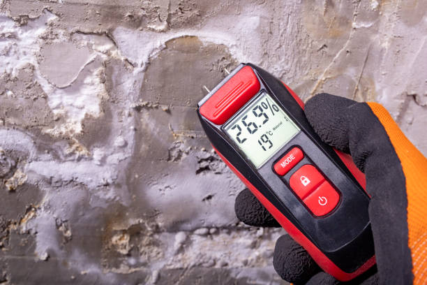 Best Commercial Mold Remediation in Sagamore, MA